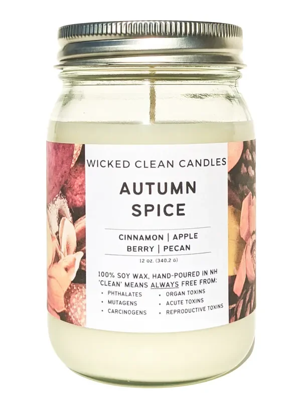 12 oz Jar Soy Candles – Wicked Clean Candles