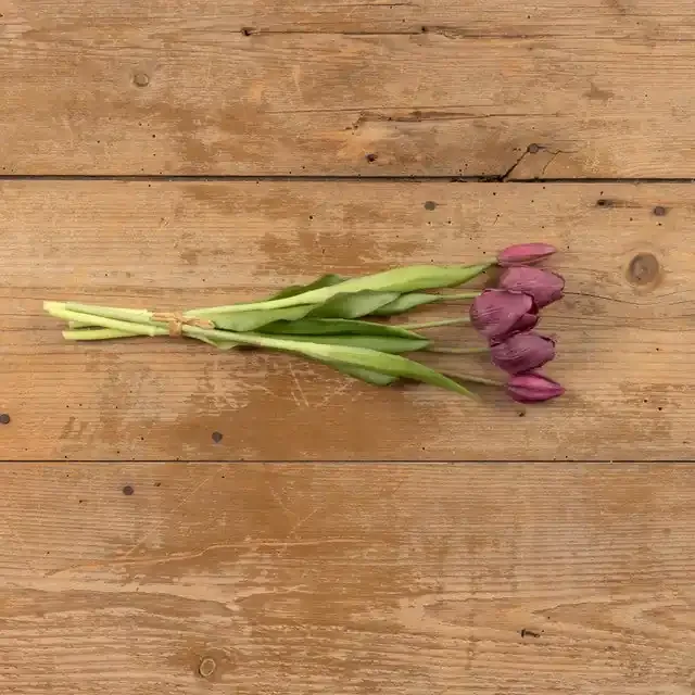 15.75″ DARK PURPLE TULIP BUSH