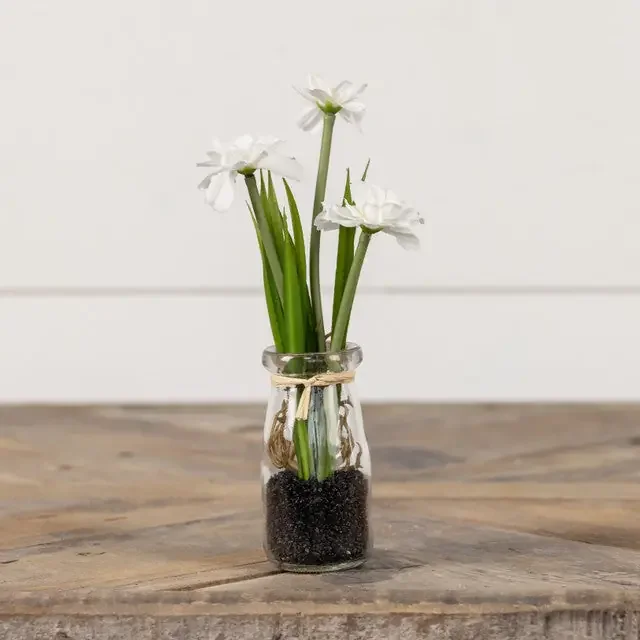 8.25″ POTTED WHITE DAISY