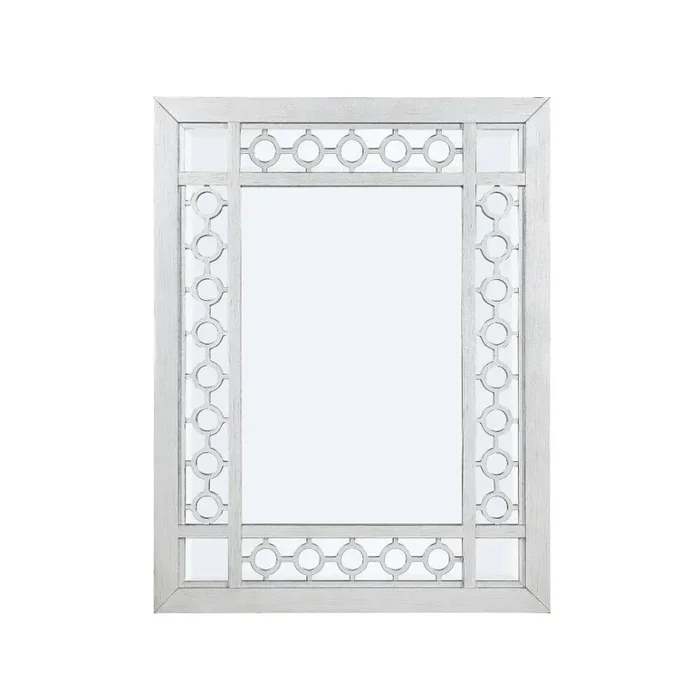 ACME Varian Mirrored & Antique Platinum Mirror Model 66158