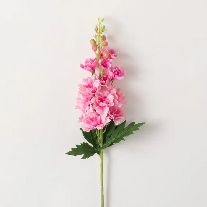 Delphinium Stem