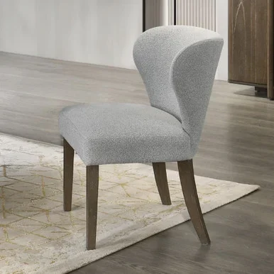 Dillon Side Chair (Set-2) / DN04816