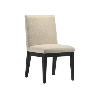 Froja Side Chair (Set-2) / DN01803