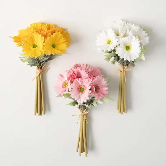 Gerbera Daisy Bundle