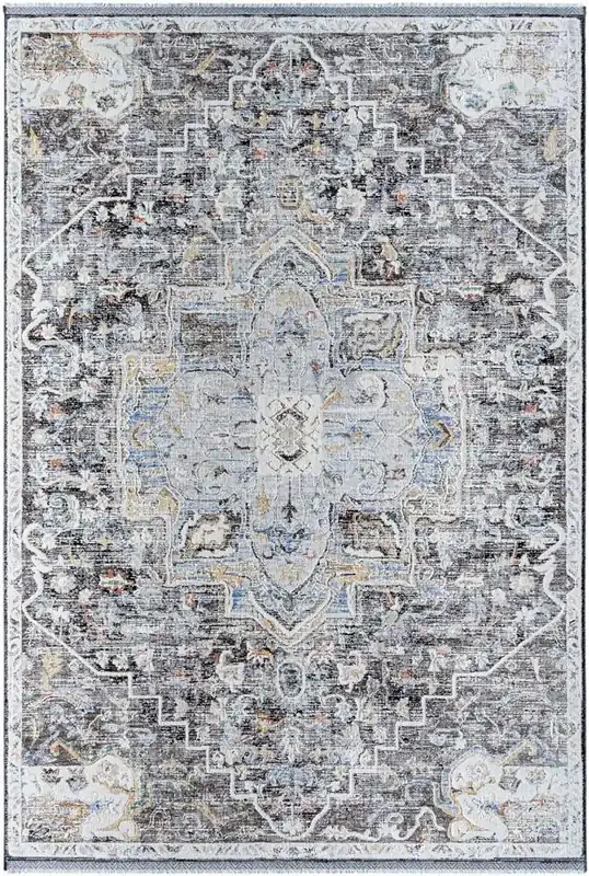 Livabliss – Rivaldo 24inx39in Machine Woven Rug – RVD2301-2439