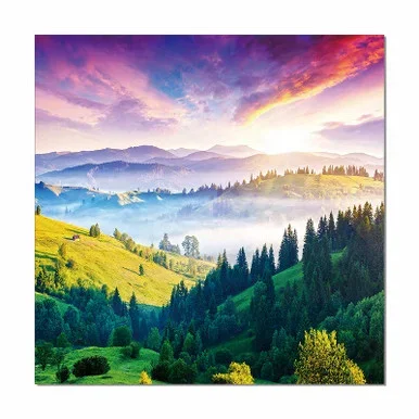 Modrest Glory Photo On Canvas / VGSCSH-71935