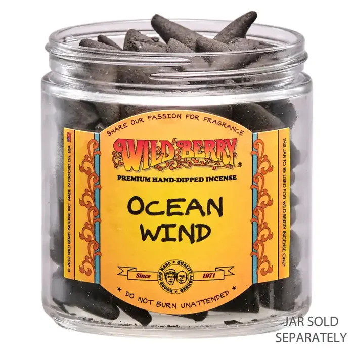 Ocean Wind Cones