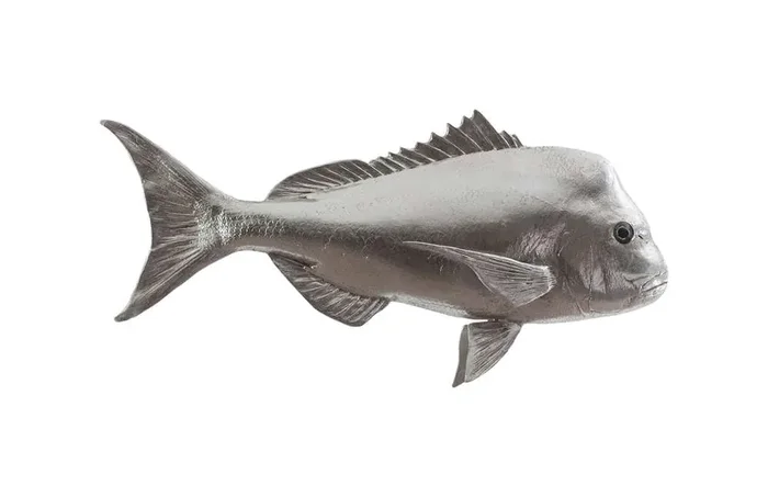 Phillips Collection – Australian Snapper Fish Wall Sculpture, Resin, Silver Leaf – PH64555