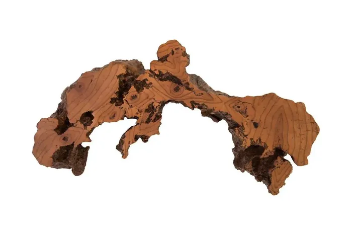 Phillips Collection – Burled Root Wall Art, Medium, Faux Bois Finish – PH83681
