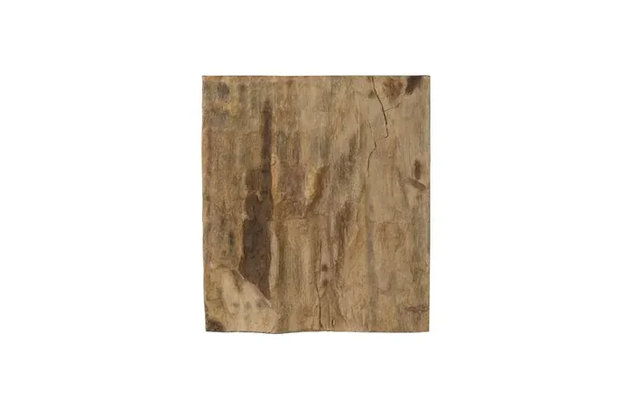 Phillips Collection – Cast Petrified Wood Wall Tile, Resin, Square – PH89988