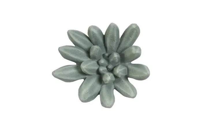 Phillips Collection – Compactum Succulent Wall Art, Forest – PH104157