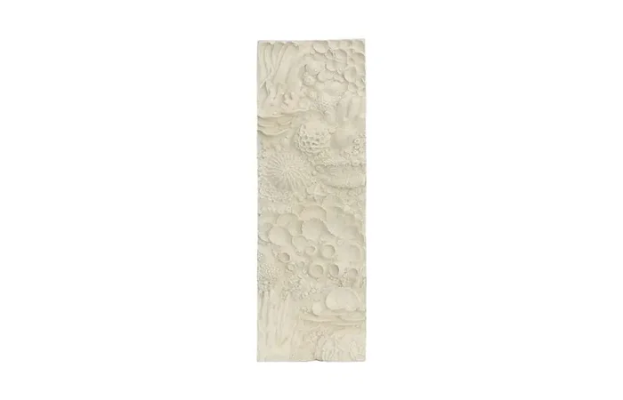 Phillips Collection – Coral Reef Wall Art, Rectangle, Rectangle – PH112036