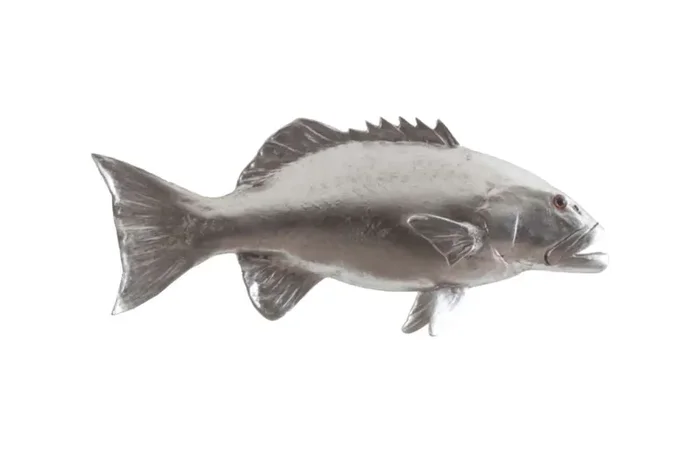 Phillips Collection – Coral Trout Fish Wall Sculpture, Resin, Silver Leaf – PH64543