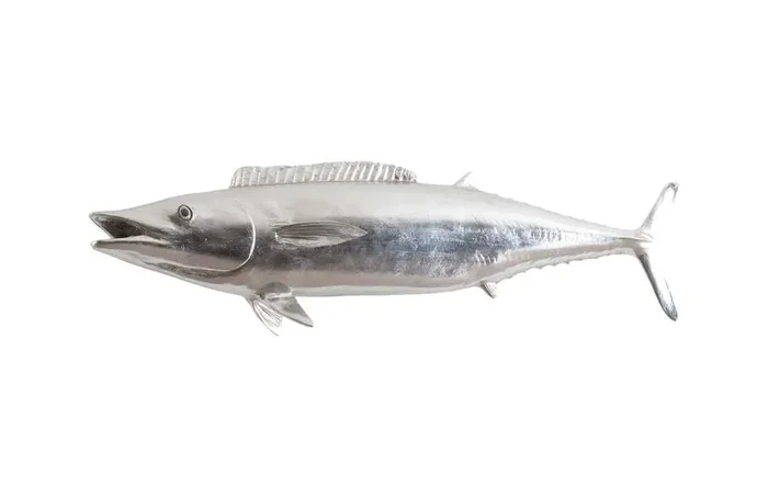 Phillips Collection – Wahoo Fish, Silver Leaf – PH62417