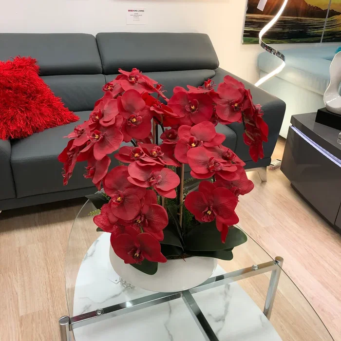 Red Orchid Arrangement With White Vase