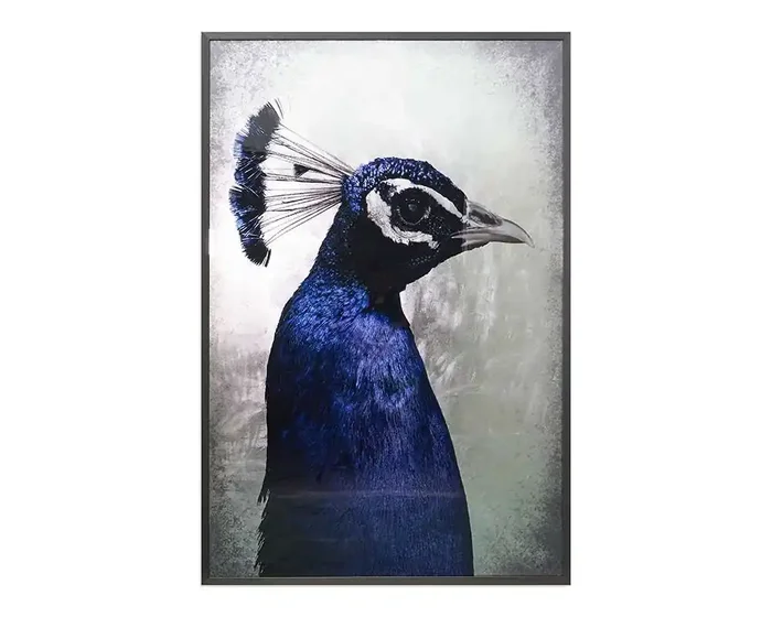 Sunpan – The Peacock – 48in X 72in – Charcoal Frame – A0262