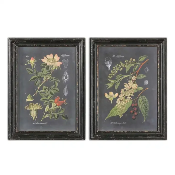 Uttermost – Midnight Botanicals Wall Art (Set of 2) – 56053